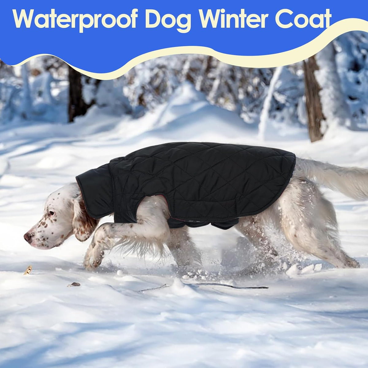Cozy Reversible Dog Coat with Leash Hole - Warm Green 2XL