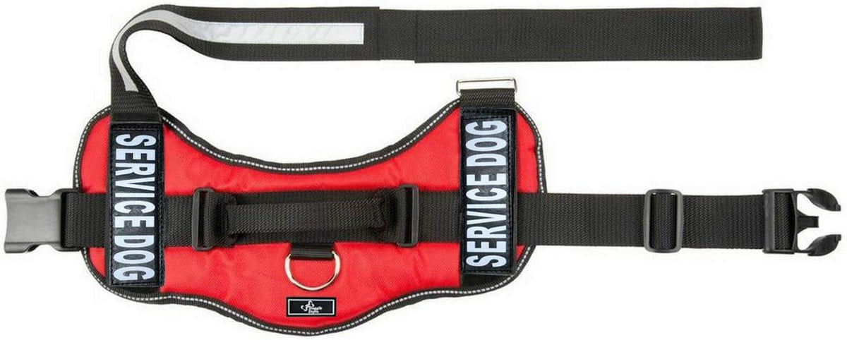 Service Dog in Training Vest Harness Bundle – Complete Kit for Your Companion