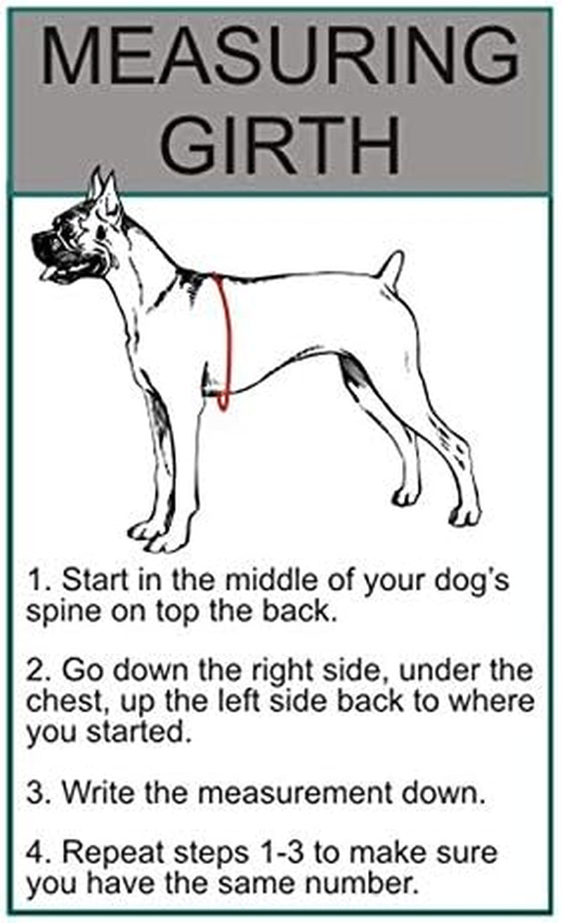Service Dog in Training Vest Harness Bundle – Complete Kit for Your Companion