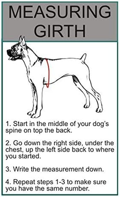 Service Dog in Training Vest Harness Bundle – Complete Kit for Your Companion