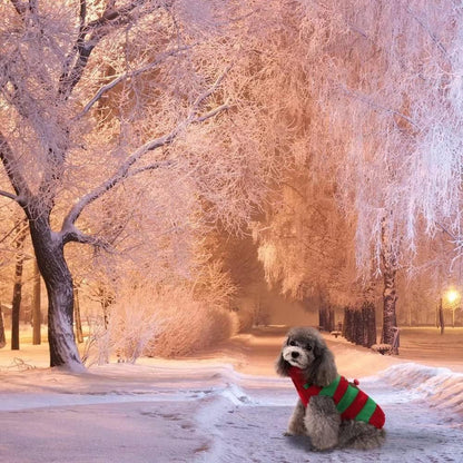 Dog Sweater Turtleneck Knitted,Dog Clothes for Small Medium Dog,Cute Dog Sweaters for Fall Winter，Warm and Soft Dog Sweater