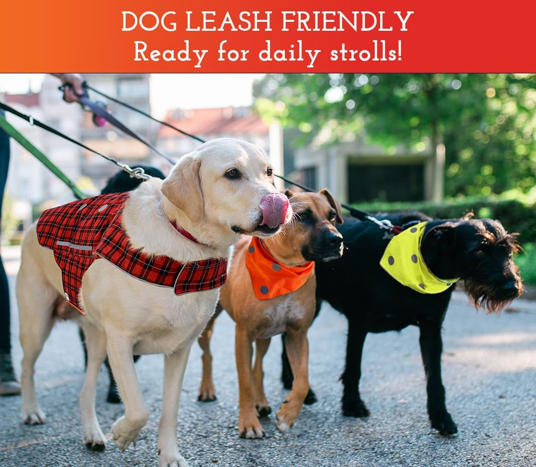 Reversible Reflective Dog Vest - High Visibility Safety Apparel for Walking, Hiking & Hunting (Blaze Orange & Red Plaid, XL)