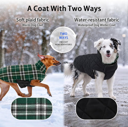 Cozy Reversible Dog Coat with Leash Hole - Warm Green 2XL