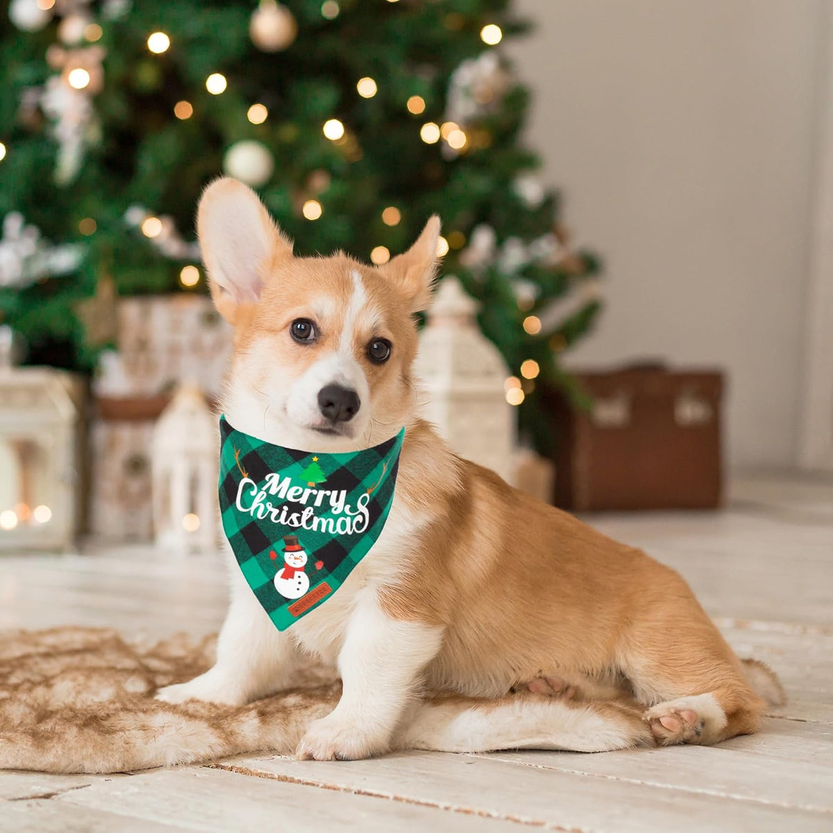 Holiday Cheer 2-Pack Dog Bandanas - Classic Plaid Santa & Snowman Kerchiefs for Medium & Large Pets