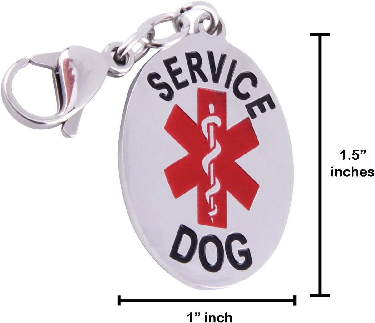 Service Dog in Training Vest Harness Bundle – Complete Kit for Your Companion