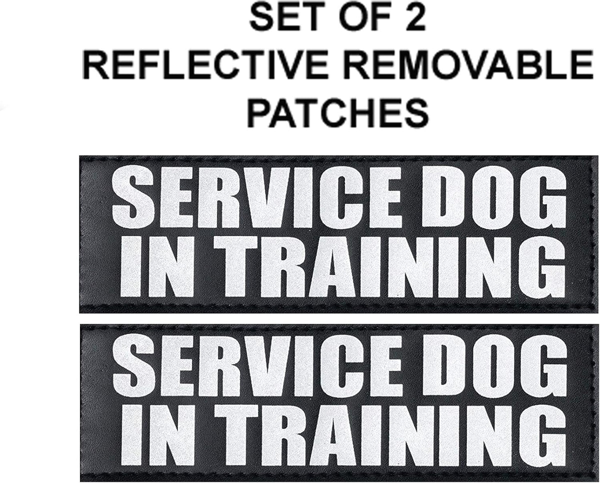 Service Dog in Training Vest Harness Bundle – Complete Kit for Your Companion