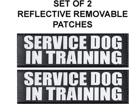 Service Dog in Training Vest Harness Bundle – Complete Kit for Your Companion