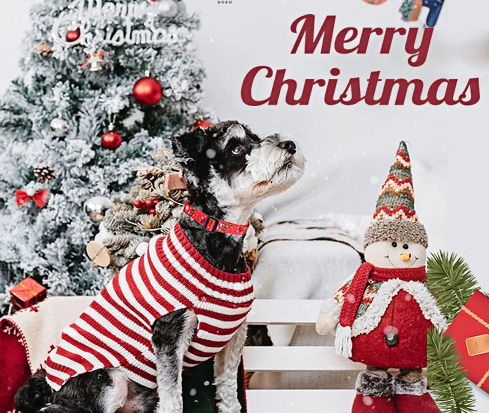 Festive Christmas Dog Collar for Small Dogs - Perfect Holiday Accessory!