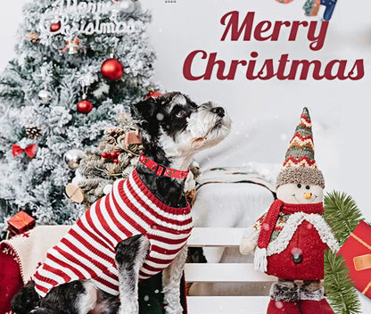 Festive Christmas Dog Collar for Small Dogs - Perfect Holiday Accessory!