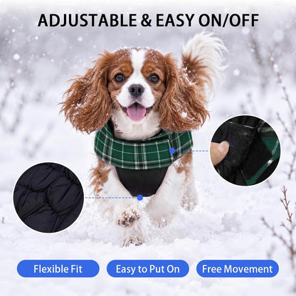 Cozy Reversible Dog Coat with Leash Hole - Warm Green 2XL