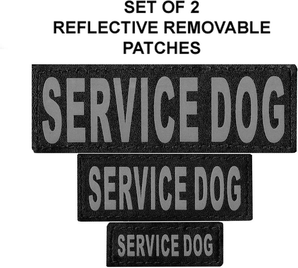 Service Dog in Training Vest Harness Bundle – Complete Kit for Your Companion