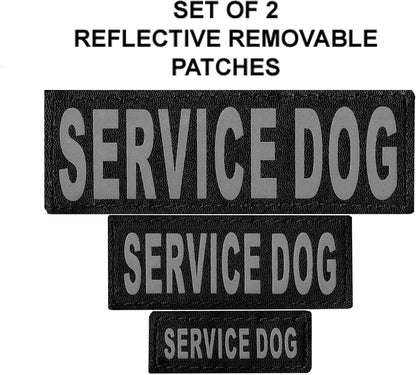 Service Dog in Training Vest Harness Bundle – Complete Kit for Your Companion