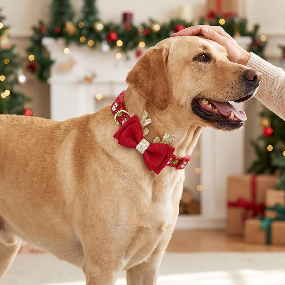 Festive Adjustable Christmas Dog Collar with Antler Bow Tie & Snowman Accessory for Medium Dogs