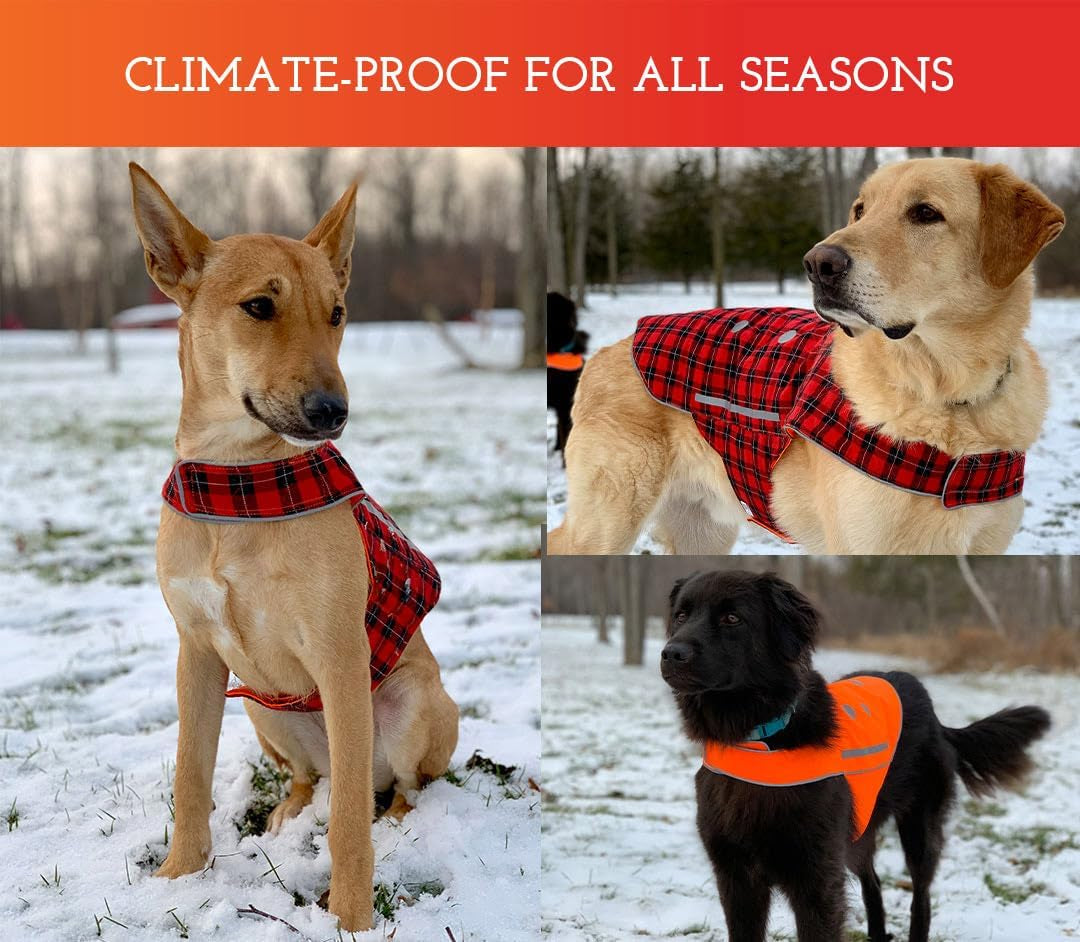 Reversible Reflective Dog Vest - High Visibility Safety Apparel for Walking, Hiking & Hunting (Blaze Orange & Red Plaid, XL)