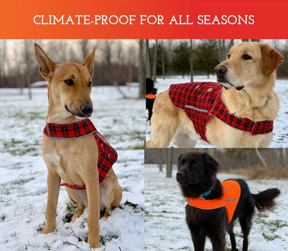 Reversible Reflective Dog Vest - High Visibility Safety Apparel for Walking, Hiking & Hunting (Blaze Orange & Red Plaid, XL)