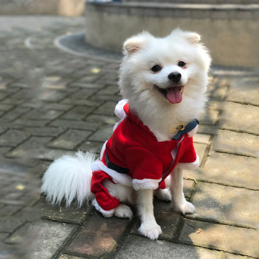 Cozy Christmas Apparel for Furry Friends