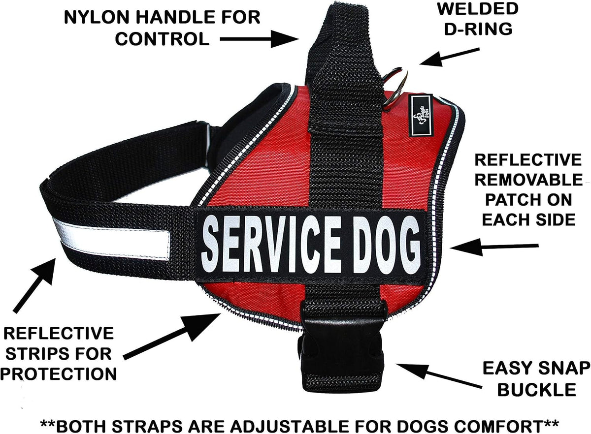 Service Dog in Training Vest Harness Bundle – Complete Kit for Your Companion