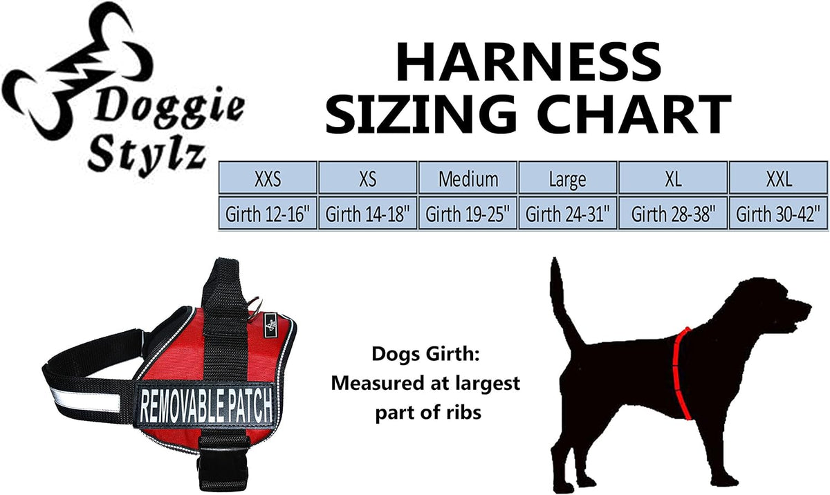 Service Dog in Training Vest Harness Bundle – Complete Kit for Your Companion