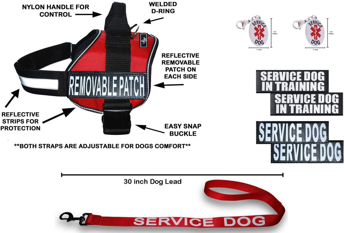 Service Dog in Training Vest Harness Bundle – Complete Kit for Your Companion