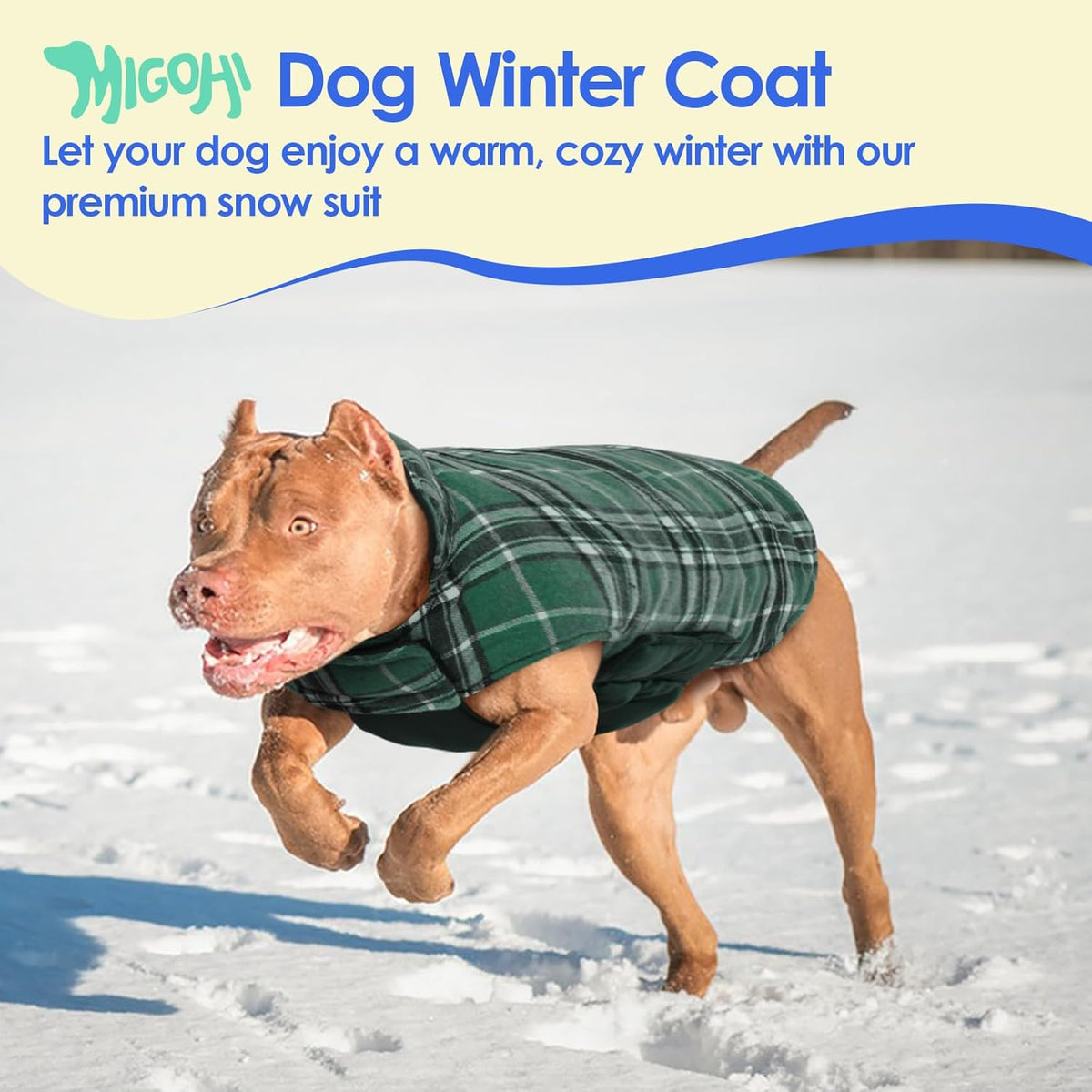 Cozy Reversible Dog Coat with Leash Hole - Warm Green 2XL